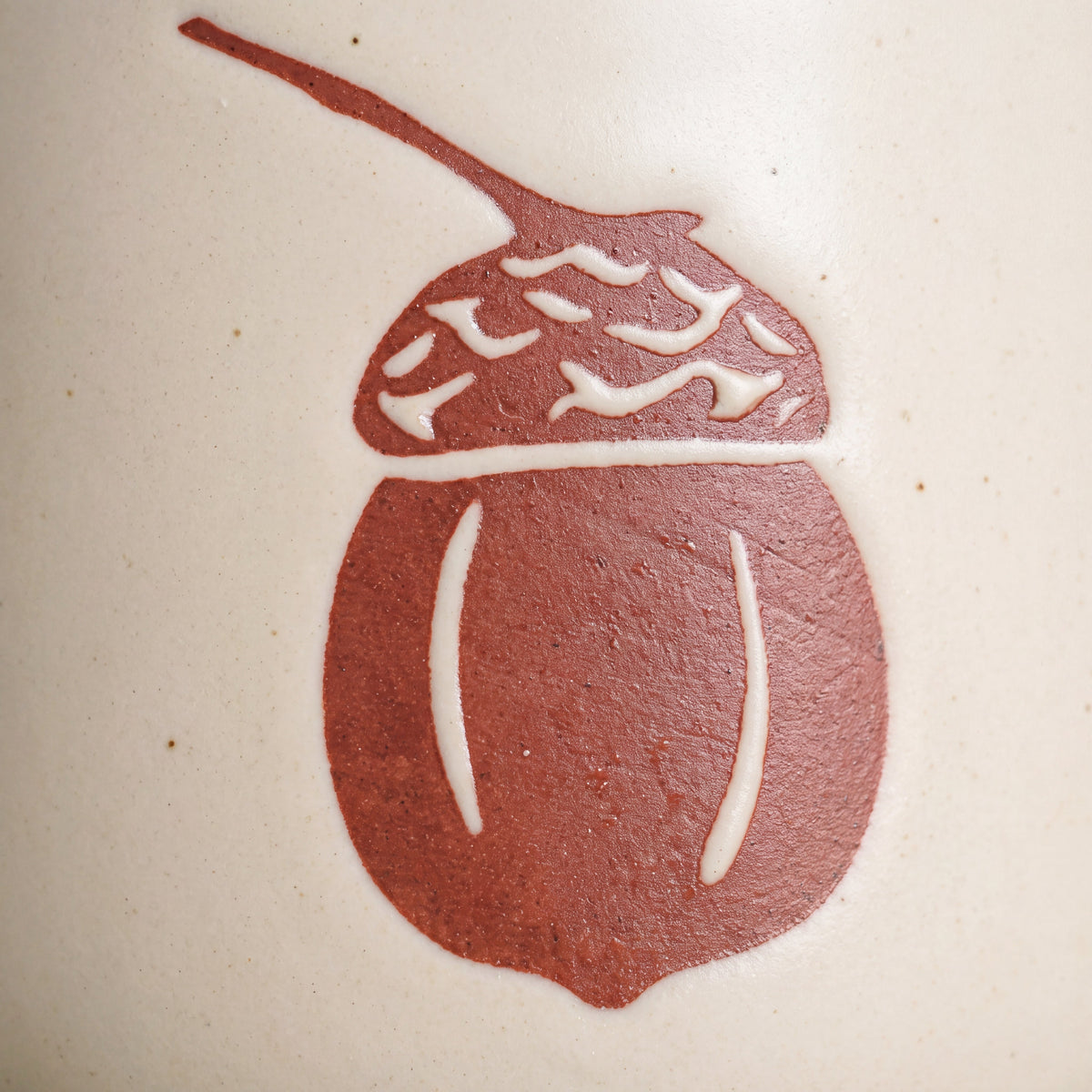 Close-up of the raised single acorn relief with textured cap on smooth speckled stoneware ceramic